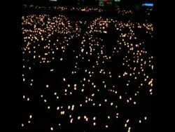 SYND 23/09/72 ANTI COMMON MARKET  TORCHLIGHT DEMONSTRATION IN OSLO Instructional Video