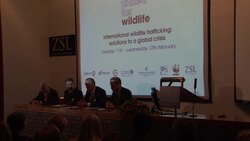 Prince William attends symposium ahead of global summit on curbing illegal wildlife trade News Clip