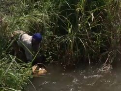 A woman getting water in the river (Zoom out) Stock Footage
