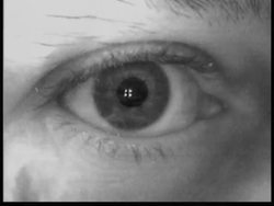 New technology allows people to operate computers with their eyes News Clip