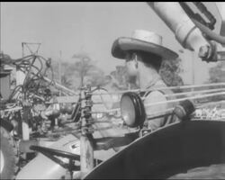 SWEET AND HOT News Clip