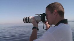 CLEAN : Guanabara Bay dolphins threatened with disappearance News Clip