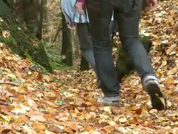 MS Hiker walking through autumn forest  / Kastel-Staadt, Rhineland-Palatinate, Germany Stock Footage