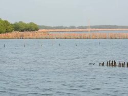 Electronic poles are drownig, Effect from global warming. Stock Footage