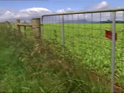 Legal Opium Trade profitable for Tasmania News Clip