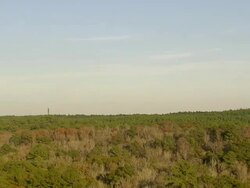 MS AERIAL TU Shot of wooded area at near Savannah River Nuclear sites (four inactive) / South Carolina, United States Stock Footage
