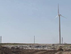 Ecological Paradox Stock Footage