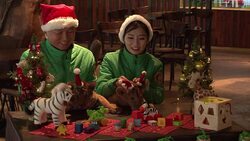 CLEAN : Lion and tiger cubs dressed up in Santa hats in South Korea News Clip