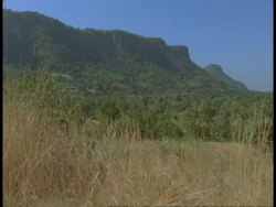 WA scenic, grassland and jungle, mountain in background, Bandhavgarh National Park, India Stock Footage