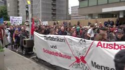 Anti-capitalist protest against European austerity policy Instructional Video