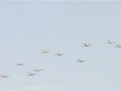 CLEAN: Kadhafi marks 40 years in power News Clip