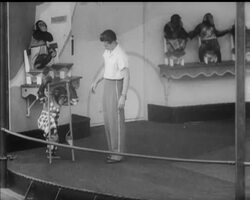 CHIMPS AS CIRCUS STARS News Clip