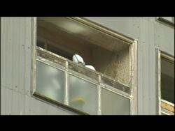 Identities of 3 suicide jumpers to be revealed News Clip