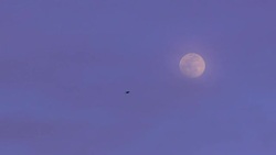 SLOW-MO: Full moon in the evening Stock Footage