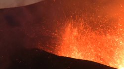 Sucesion Ecologica Instructional Video