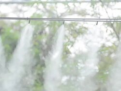 Spray Water To The Air Stock Footage