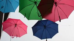 Umbrellas Stock Footage