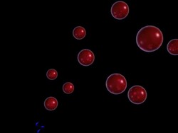This animation shows a high-energy photon (blue coil) colliding with a free electron (red ball), which causes the release of a gamma-ray (purple flash) Stock Footage