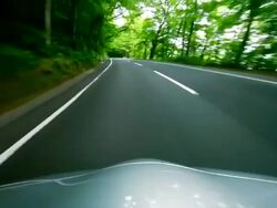 Car driving fast into forest Stock Footage