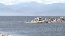 VOICED : The Salton Sea: a time bomb amid California drought News Clip