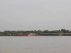 River cargos Stock Footage