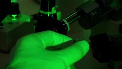 Scientist using a microscope in a laboratory News Clip