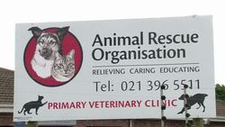 CLEAN : World celebrates 1st Mandela Day since icons death News Clip