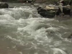 Small Wild Stream (HD) with Sound Stock Footage