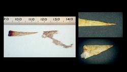 William Noel: Revealing the lost codex of Archimedes Instructional Video