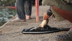 Hands of a fishing hook Stock Footage
