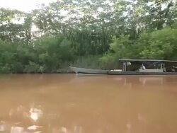 Illegal Gold Mining In Madre De Dios, Peru Stock Footage