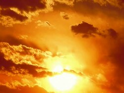 Sunset in red sky Stock Footage