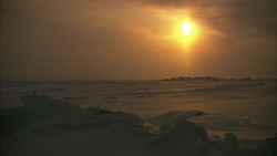 Snow falls over the Alaskan tundra at sunset. Stock Footage