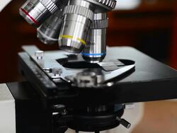 Microscopy (HD) Stock Footage