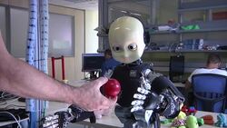 Humanoid butler on market within 18 months News Clip