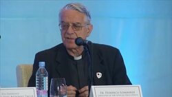 Papal spokesman comments on gay marriage News Clip