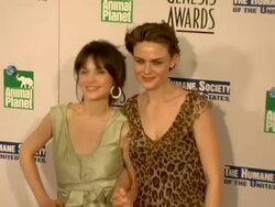 Twentieth Anniversary Genesis Awards Stock Footage