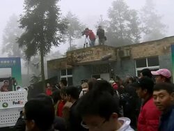 Two Giant Pandas on their Way to Edinburgh Zoo News Clip