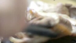 Korea Pork grill Stock Footage