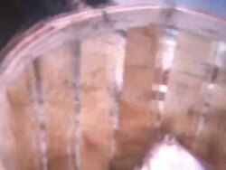 Fish Guts 1972 Stock Footage