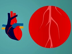 cholesterol animation: green background Stock Footage