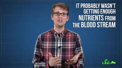 5 Things Your Nails Can Say About Your Health Instructional Video