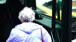 MTA Buses via 5th Ave, New York City Stock Footage