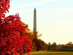 Shot of the Washington Monument in Washington DC with rack focus Stock Footage