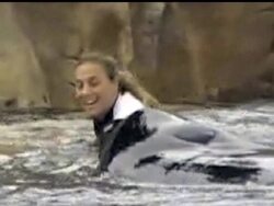 The federal government has fined SeaWorld Orlando $75,000 on Monday for three violations uncovered while investigating the February death of a trainer who was grabbed by a killer whale and dragged underwater. News Clip