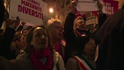 CLEAN : French anti gay marriage protest News Clip