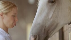 SLO MO Caretaker petting and feeding the white horse Stock Footage
