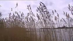 Olkiluoto Nuclear Power Plant News Clip