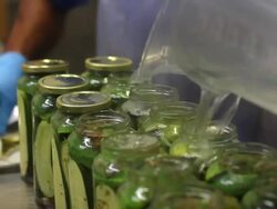 Canning pickles. Pickling cucumbers. Stock Footage