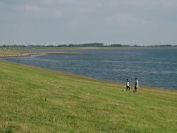 WS View of couple walking in grass field with his pet dog and view of windmills in fishing town, North Sea / Tonning, Schleswig Holstein, Germany Stock Footage